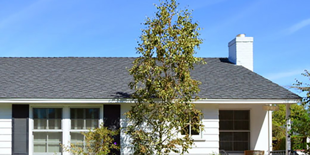 Roof Replacements